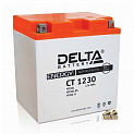 Аккумулятор для Tesla Roadster Delta CT 1230 YIX30L, YB30L-B, YIX30L-BS 30Ач 330А