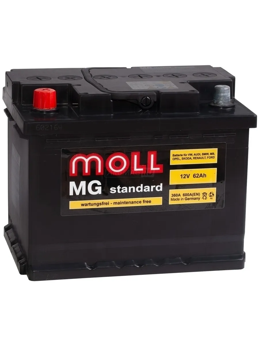 Moll MG Standard 12V-62Ah SR 62Ач 600А, ОП, стандартные клеммы