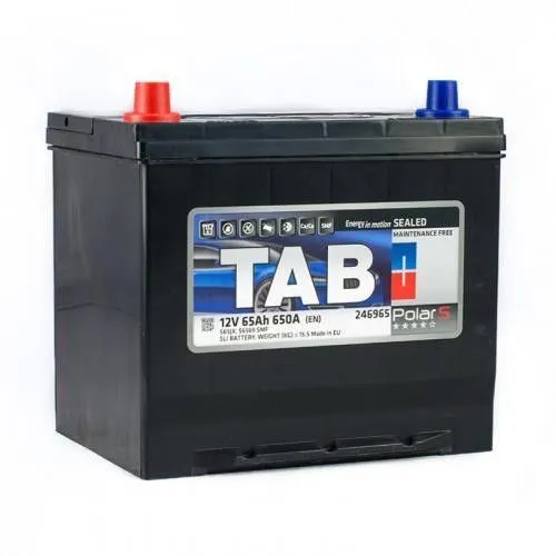 Tab Polar Asia 65Ач 650А 246965 56569 SMF, ПП, стандартные клеммы