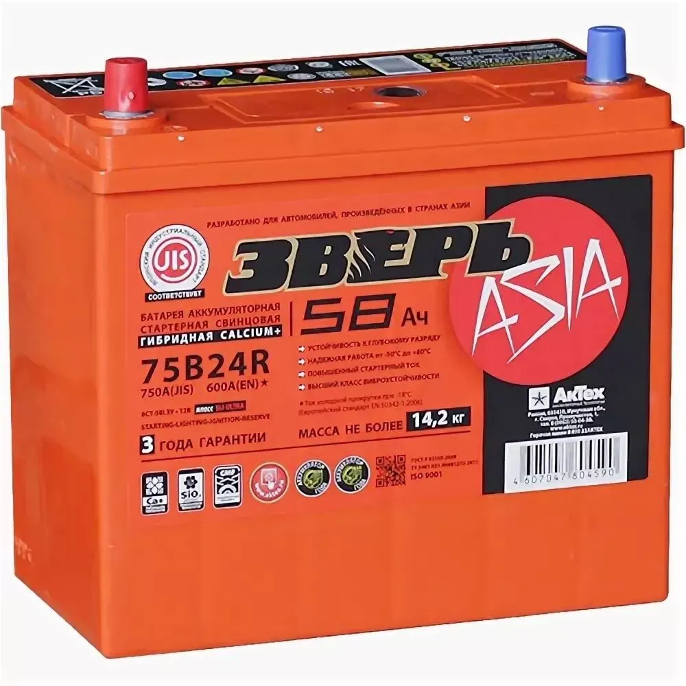 Зверь Asia 75B24R 58Ач 600А, ПП, тонкие клеммы