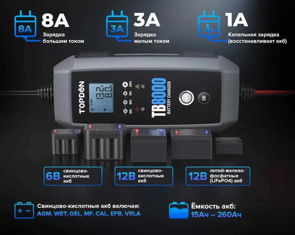 Зарядное устройство TOPDON TB8000 (8A)