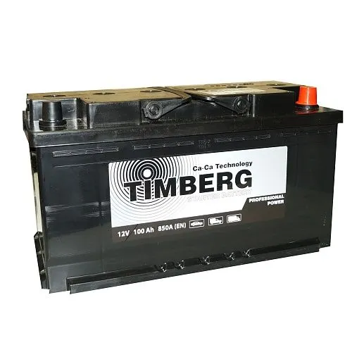 Timberg Professional Power 100Ач 850А, ОП, стандартные клеммы