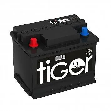 TIGER 60Ач 560А, ПП, стандартные клеммы