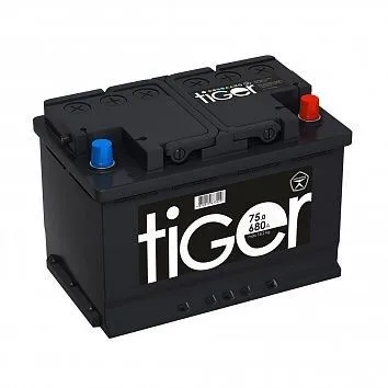 TIGER 75Ач 650А, ОП, стандартные клеммы