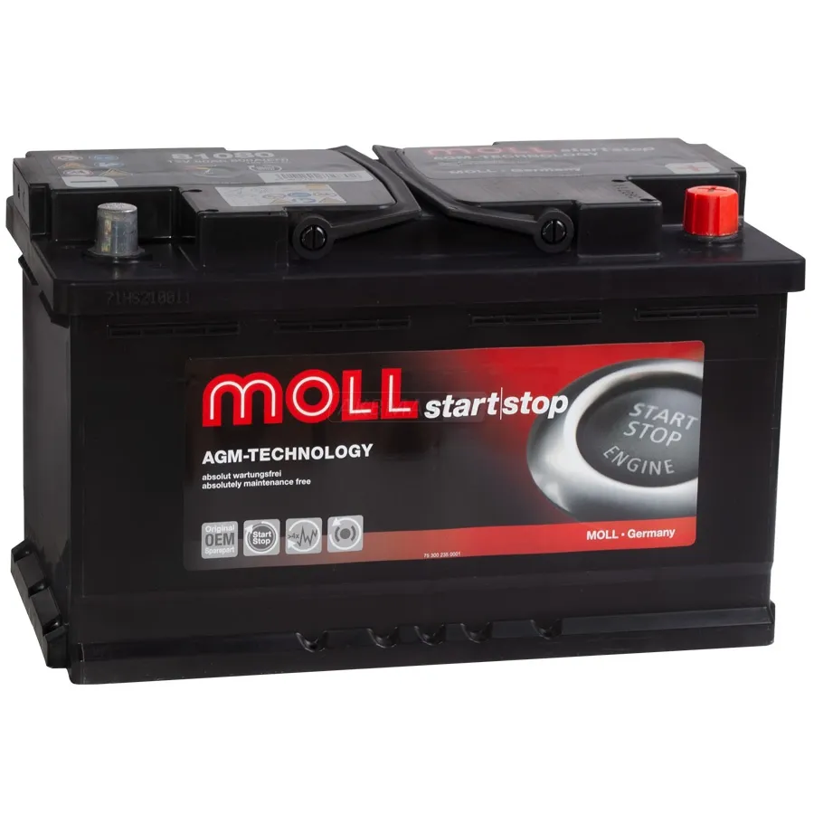 Moll 95